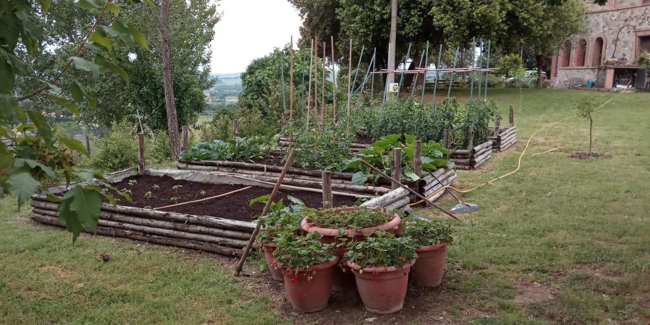 Agriturismo Riparossa Allerona Exterior foto
