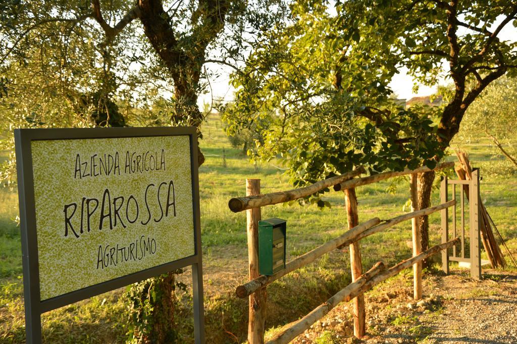 Agriturismo Riparossa Allerona Exterior foto