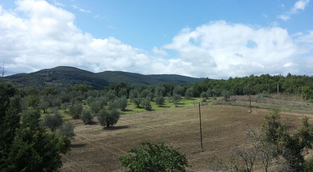 Agriturismo Riparossa Allerona Exterior foto