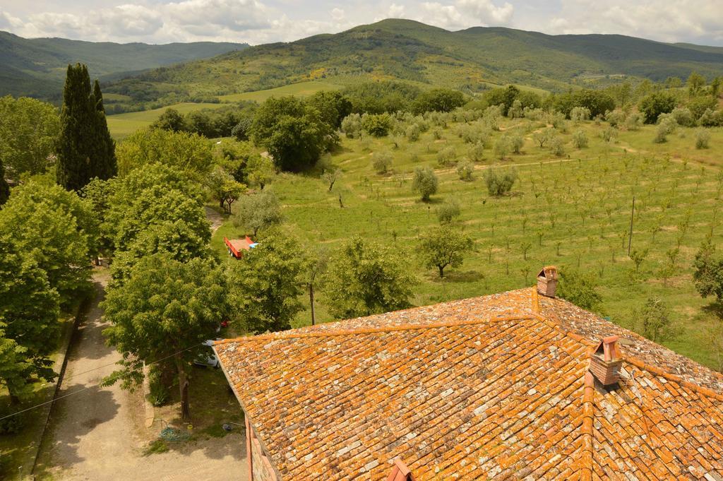Agriturismo Riparossa Allerona Exterior foto