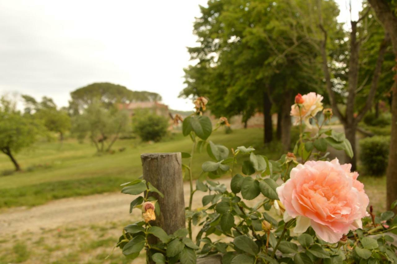 Agriturismo Riparossa Allerona Exterior foto